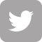 Twitter page icon